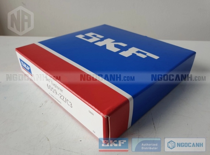 Vòng bi bạc đạn 6019 95x145x24mm SKF — Ảnh gốc — ngocanh.com · 6019-2.jpg