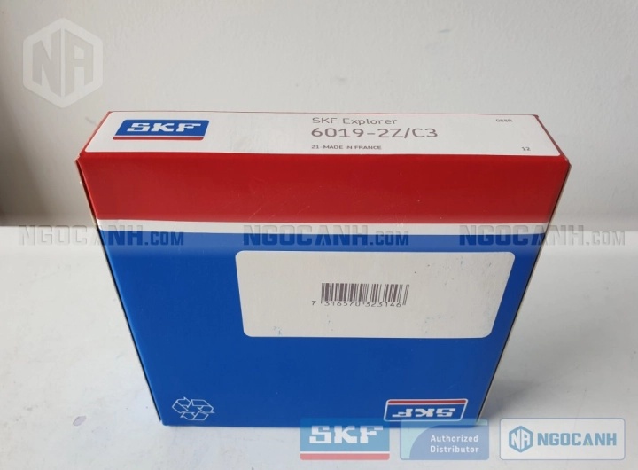 Vòng bi bạc đạn 6019 95x145x24mm SKF — Ảnh gốc — ngocanh.com · 6019-3.jpg