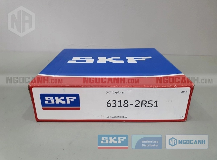 Vòng bi bạc đạn 6318 90x190x43mm SKF — Ảnh gốc — ngocanh.com · 6318-1.jpg