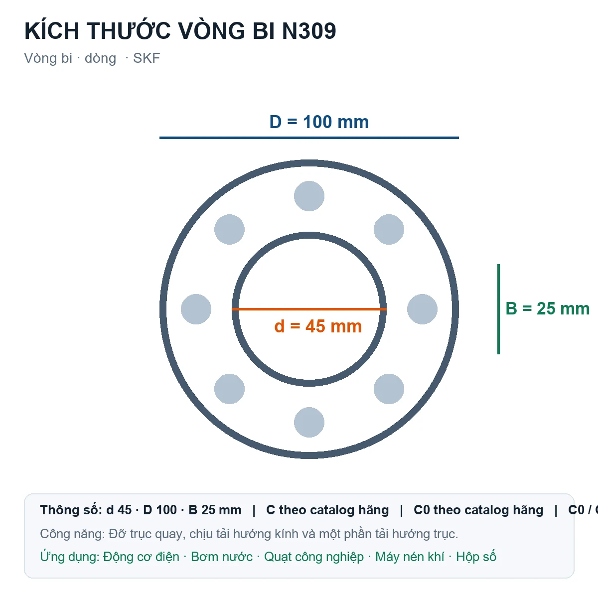 Vòng bi SKF N309 45x100x25mm — Bản vẽ kích thước (Google Images)