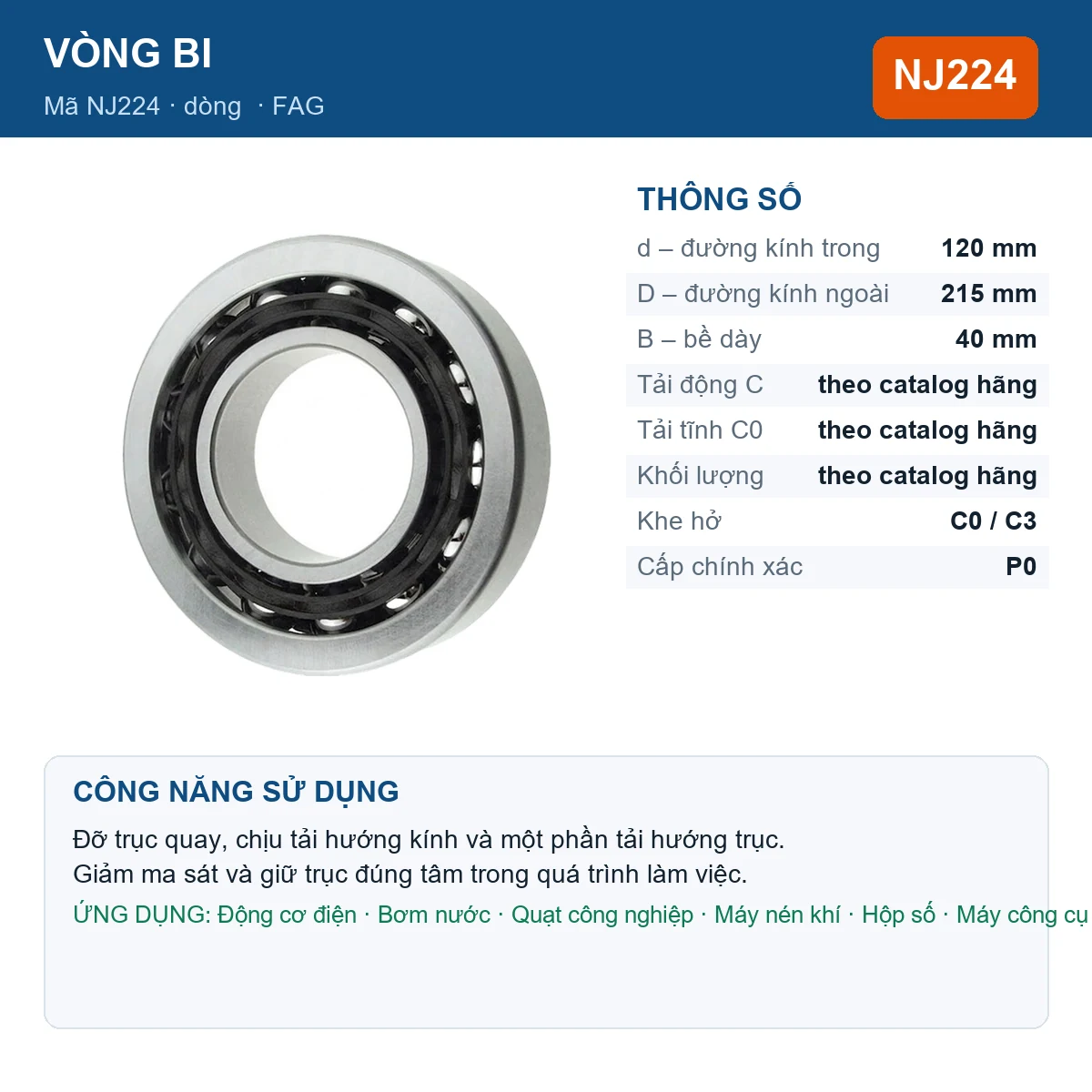 Vòng bi FAG NJ224 — kích thước 120x215x40mm