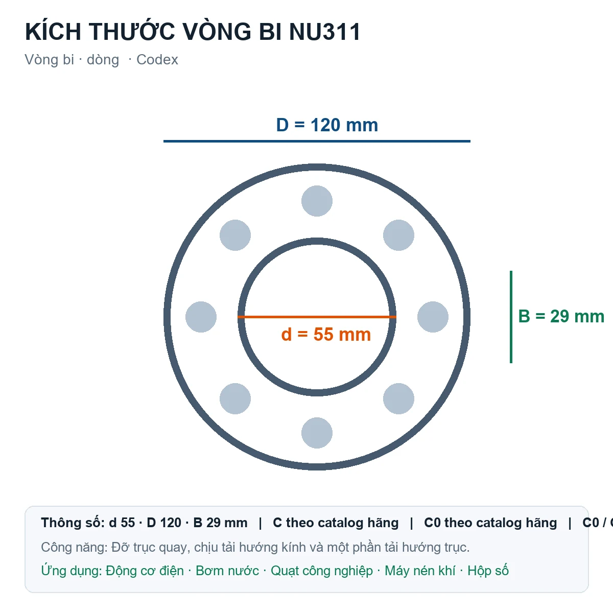 Vòng bi Codex NU311 55x120x29mm — Bản vẽ kích thước (Google Images)