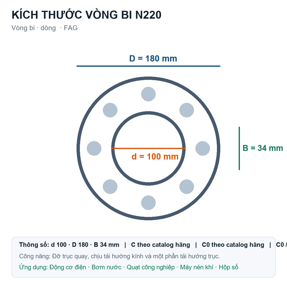 Vòng bi FAG N220 100x180x34mm — Bản vẽ kích thước (Google Images)