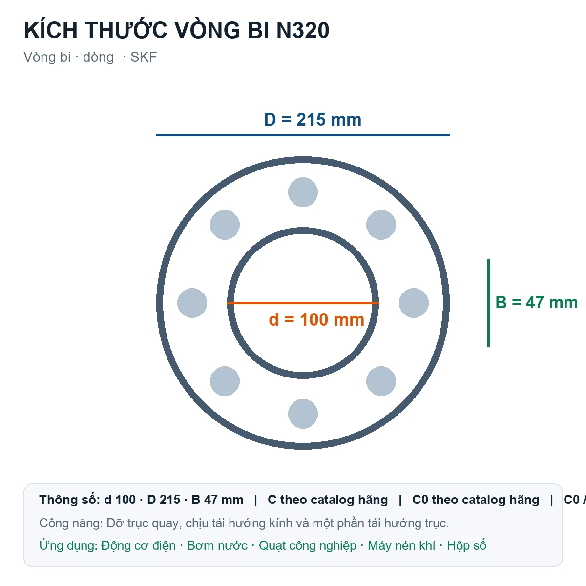Vòng bi SKF N320 100x215x47mm — Bản vẽ kích thước (Google Images)