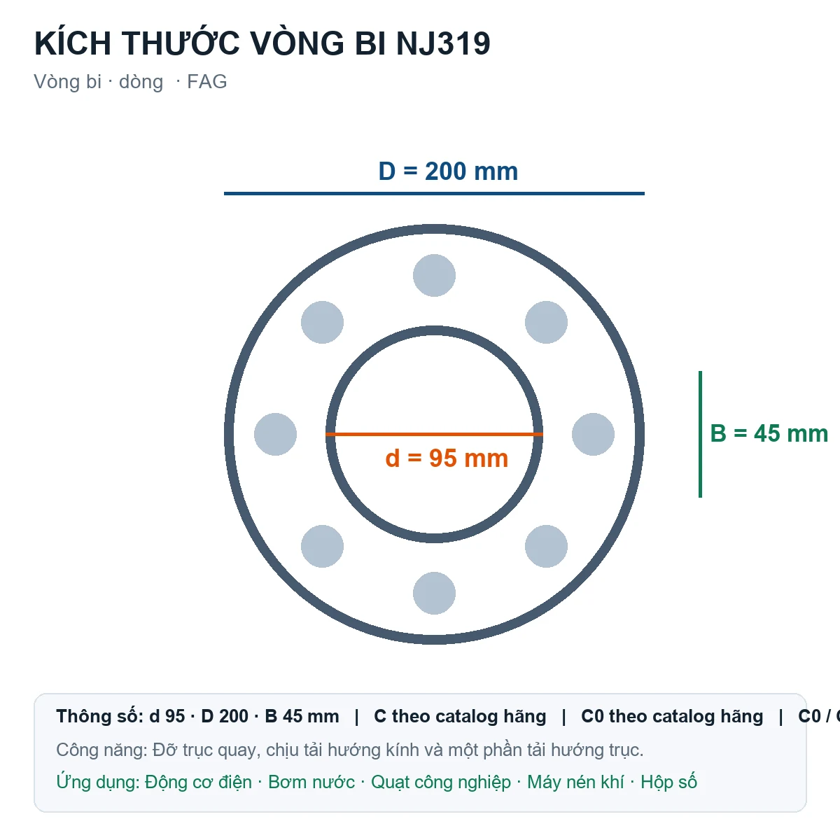 Vòng bi FAG NJ319 95x200x45mm — Bản vẽ kích thước (Google Images)