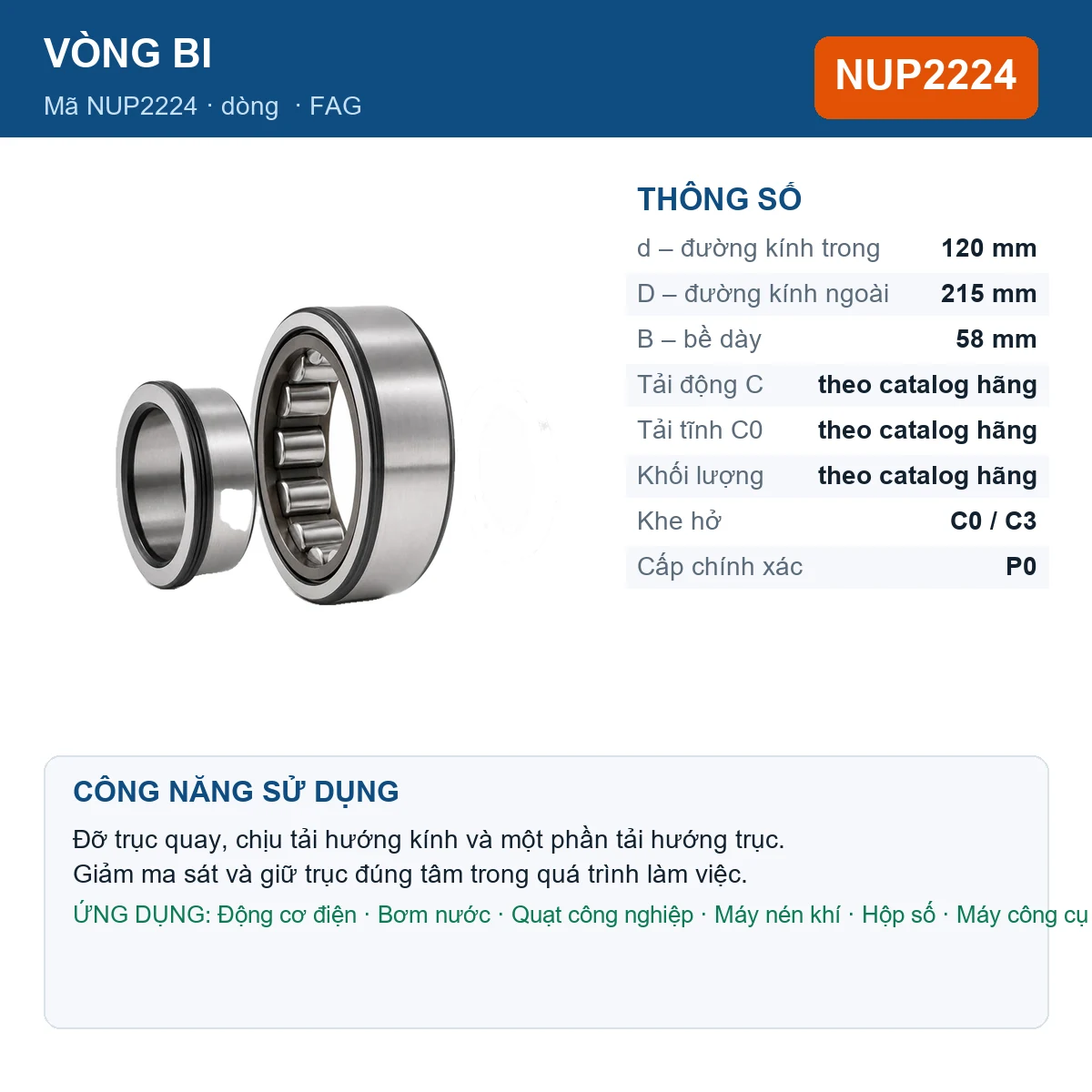 Vòng bi FAG NUP2224 — kích thước 120x215x58mm