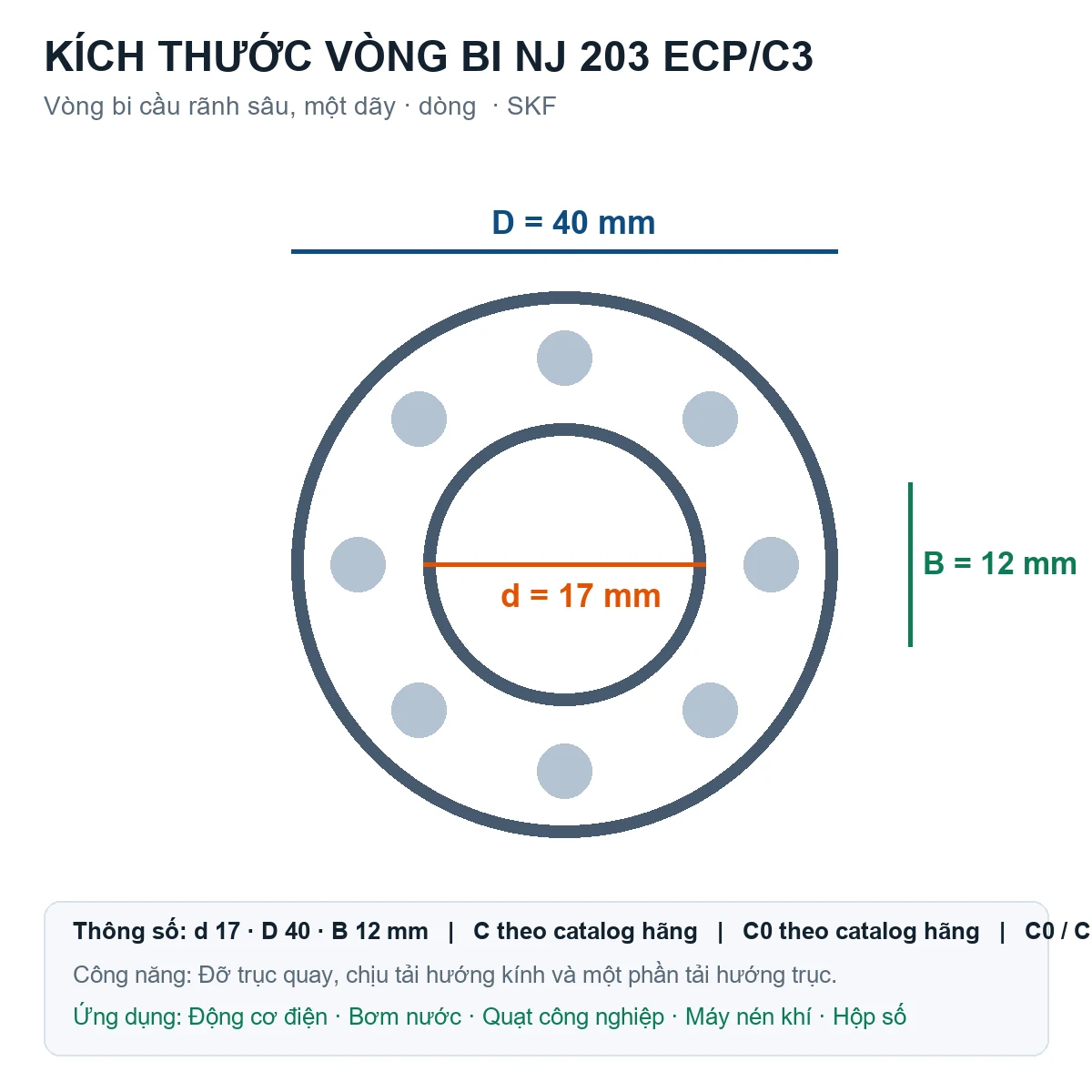 Vòng bi SKF NJ 203 ECP/C3 17x40x12mm — Bản vẽ kích thước (Google Images)
