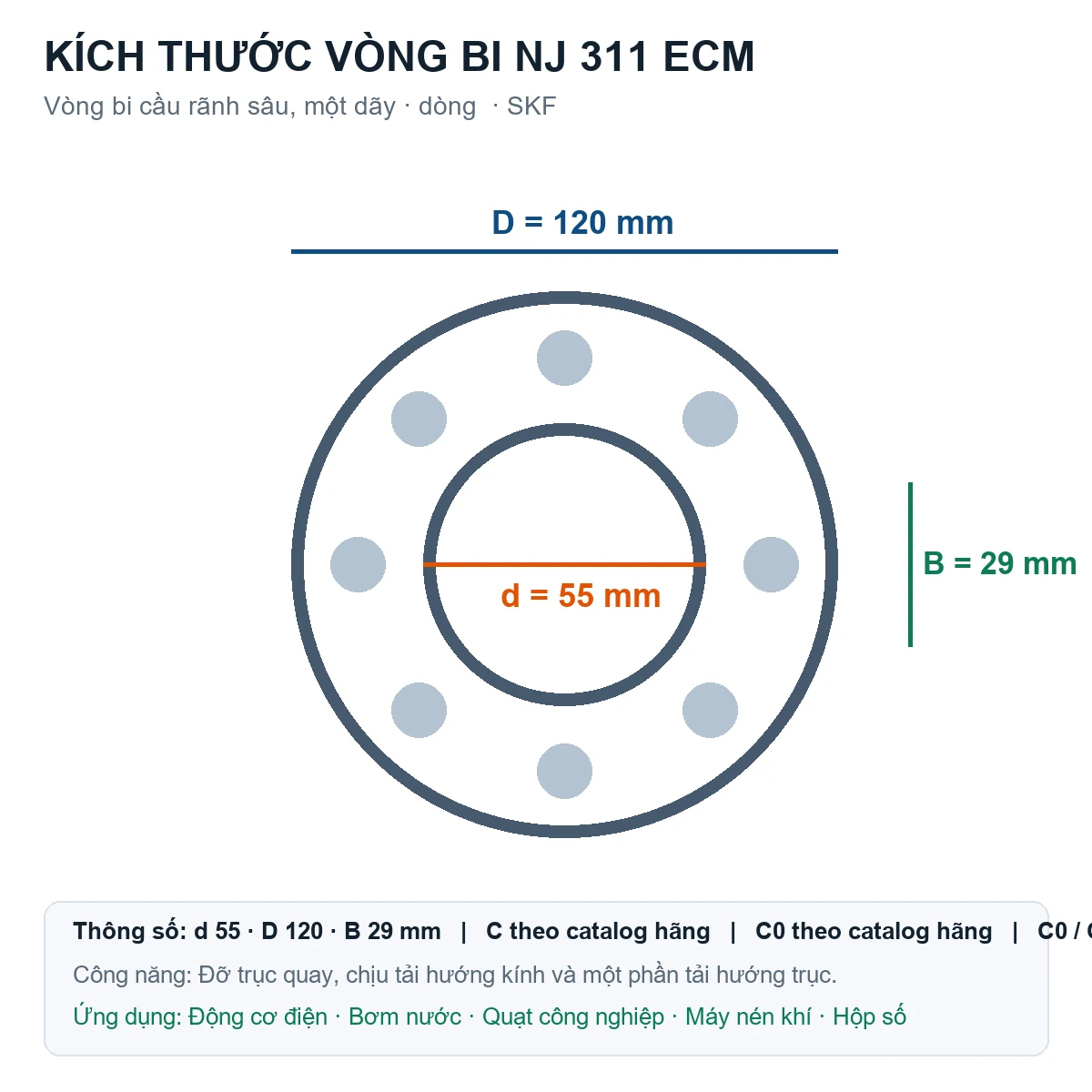 Vòng bi SKF NJ 311 ECM 55x120x29mm — Bản vẽ kích thước (Google Images)