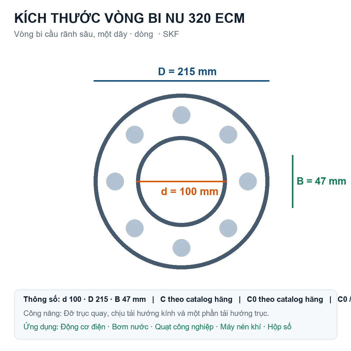 Vòng bi SKF NU 320 ECM 100x215x47mm — Bản vẽ kích thước (Google Images)