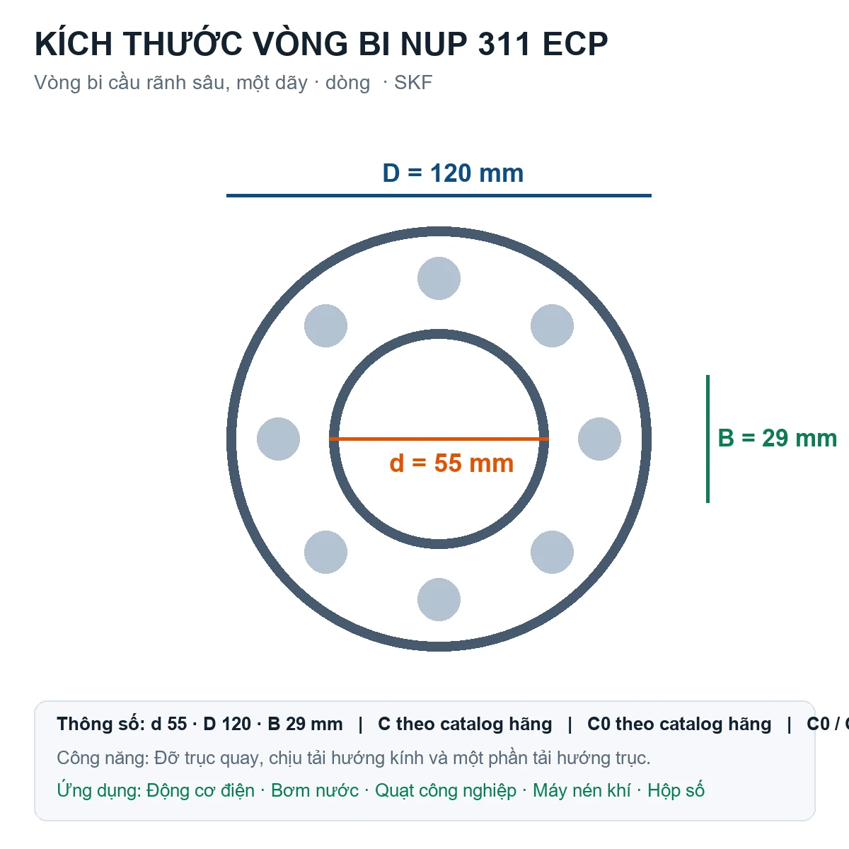 Vòng bi SKF NUP 311 ECP 55x120x29mm — Bản vẽ kích thước (Google Images)